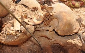 Bagaimana Syekh Saudi Pro-Zionis Sikapi ‘Holocaust Tentara Mesir’ yang Dilakukan Israel?