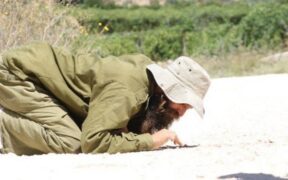 Media-media Zionis Sebut Israel Terjebak dalam Krisis Segitiga